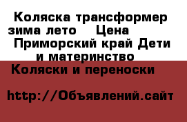 Коляска трансформер зима-лето  › Цена ­ 3 500 - Приморский край Дети и материнство » Коляски и переноски   